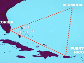 Bermuda Triangle