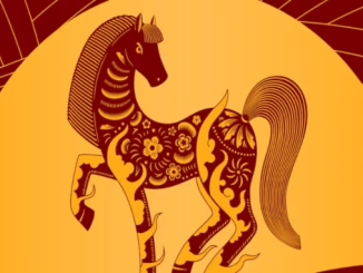 Understanding the Chinese Zodiac