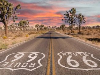 Route 66